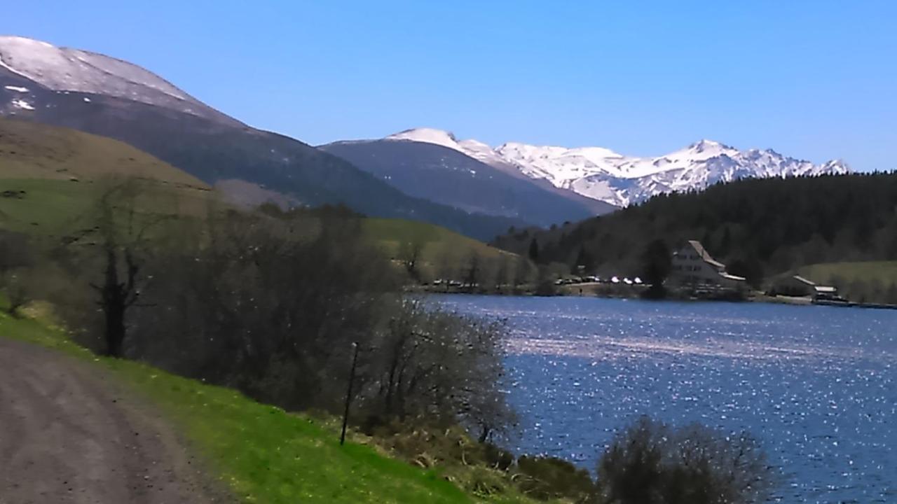 Tulipe, Appartement 5 Personnes, Entre Sancy Et Volcans D'Auvergne Орсиваль Экстерьер фото