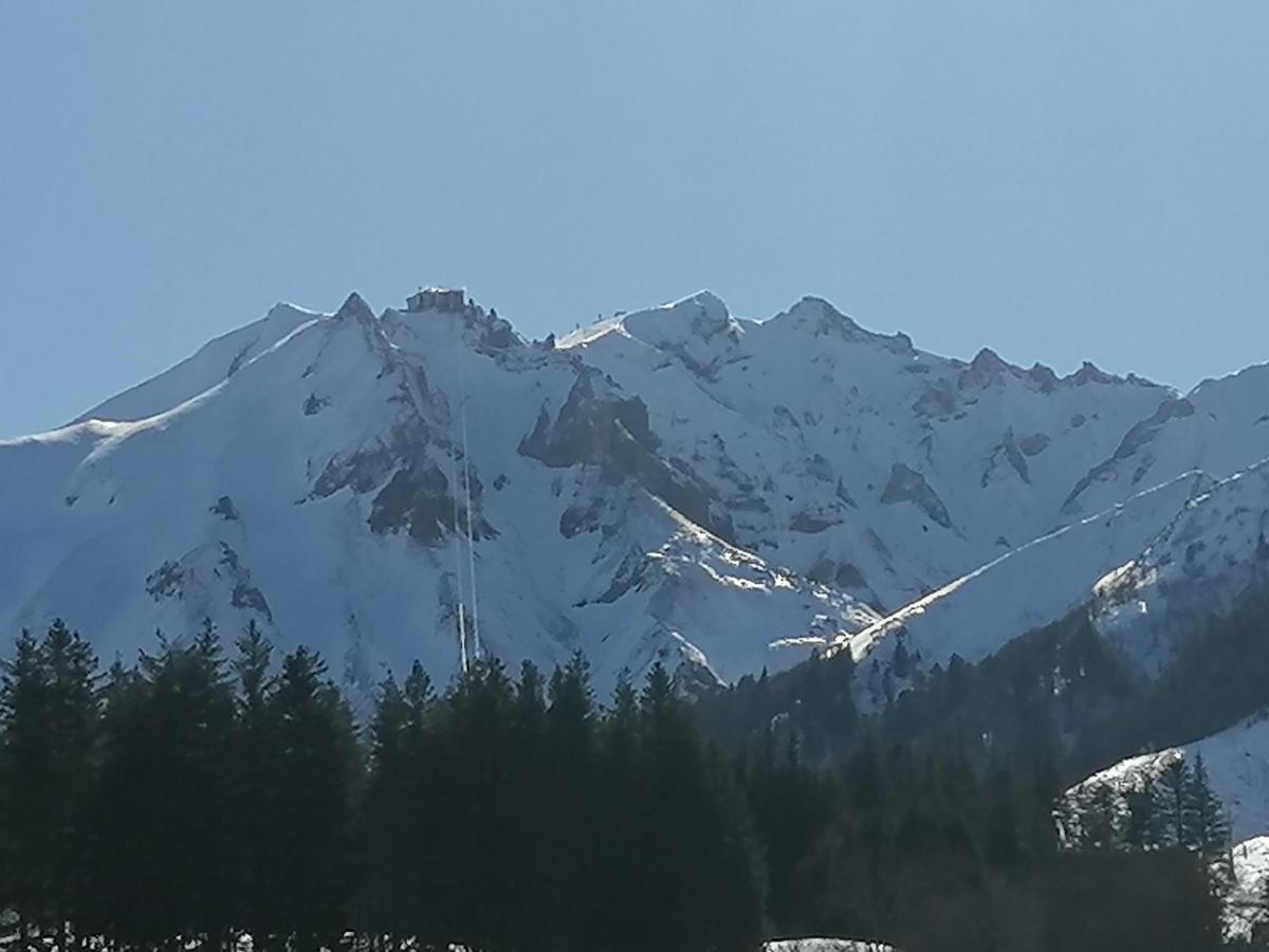 Tulipe, Appartement 5 Personnes, Entre Sancy Et Volcans D'Auvergne Орсиваль Экстерьер фото