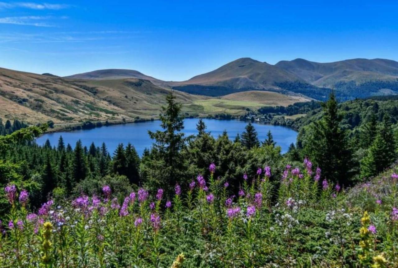 Tulipe, Appartement 5 Personnes, Entre Sancy Et Volcans D'Auvergne Орсиваль Экстерьер фото