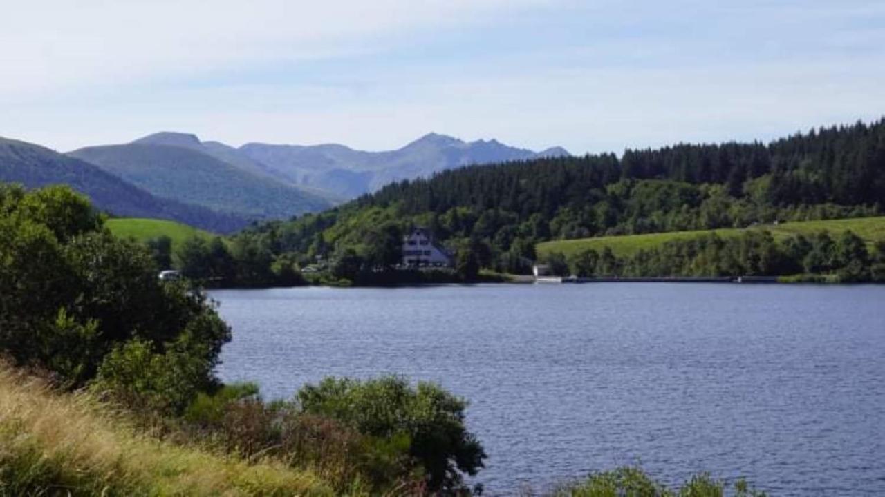 Tulipe, Appartement 5 Personnes, Entre Sancy Et Volcans D'Auvergne Орсиваль Экстерьер фото
